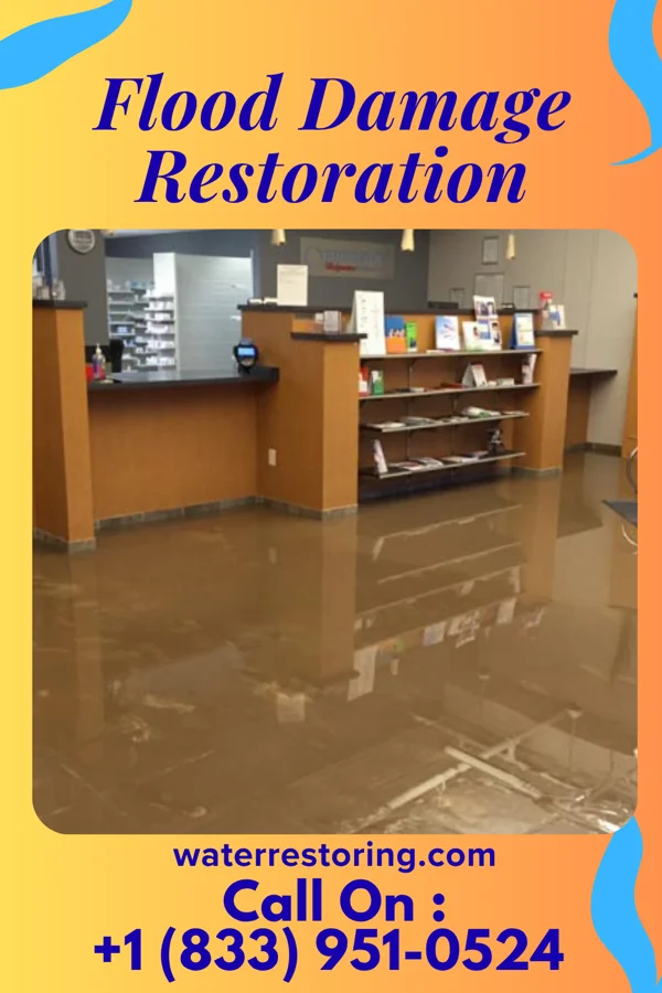 Flood Damage Restoration in Canal Lewisville, OH