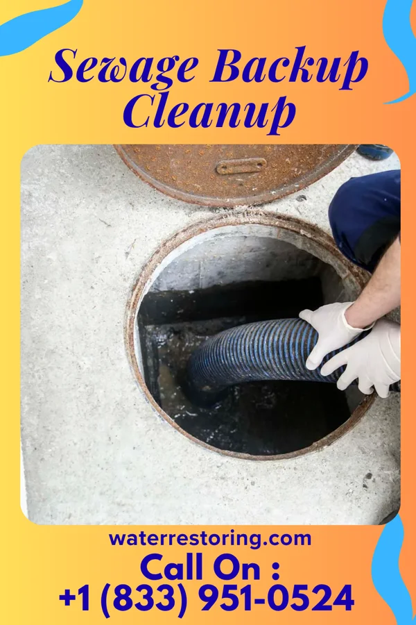 Sewage Backup Cleanup in Canal Lewisville, OH