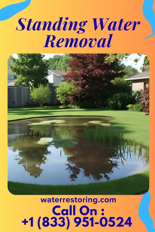 Standing Water Removal in Canal Lewisville, OH